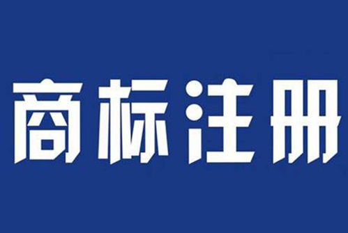 駐馬店地區(qū)食品注冊商標與計算機技術(shù)培訓概述