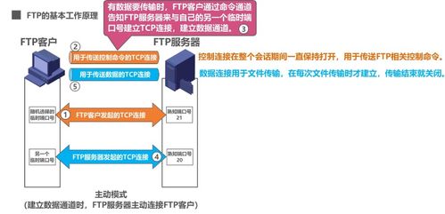 計算機網絡應用層 域名系統(tǒng)DNS、文件傳送協(xié)議FTP與計算機系統(tǒng)服務